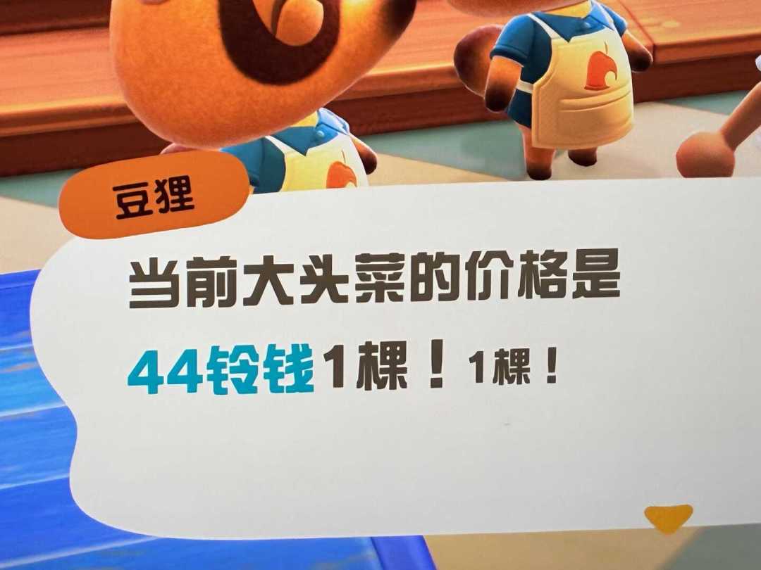 大头菜91铃,要不要梭哈?动森