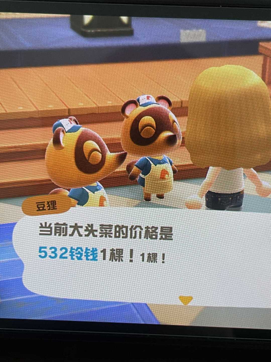 大头菜91铃,要不要梭哈?动森