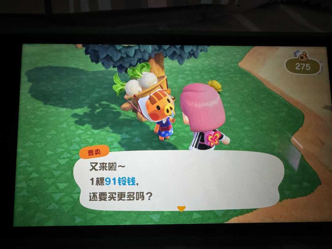 大头菜91铃,要不要梭哈?动森