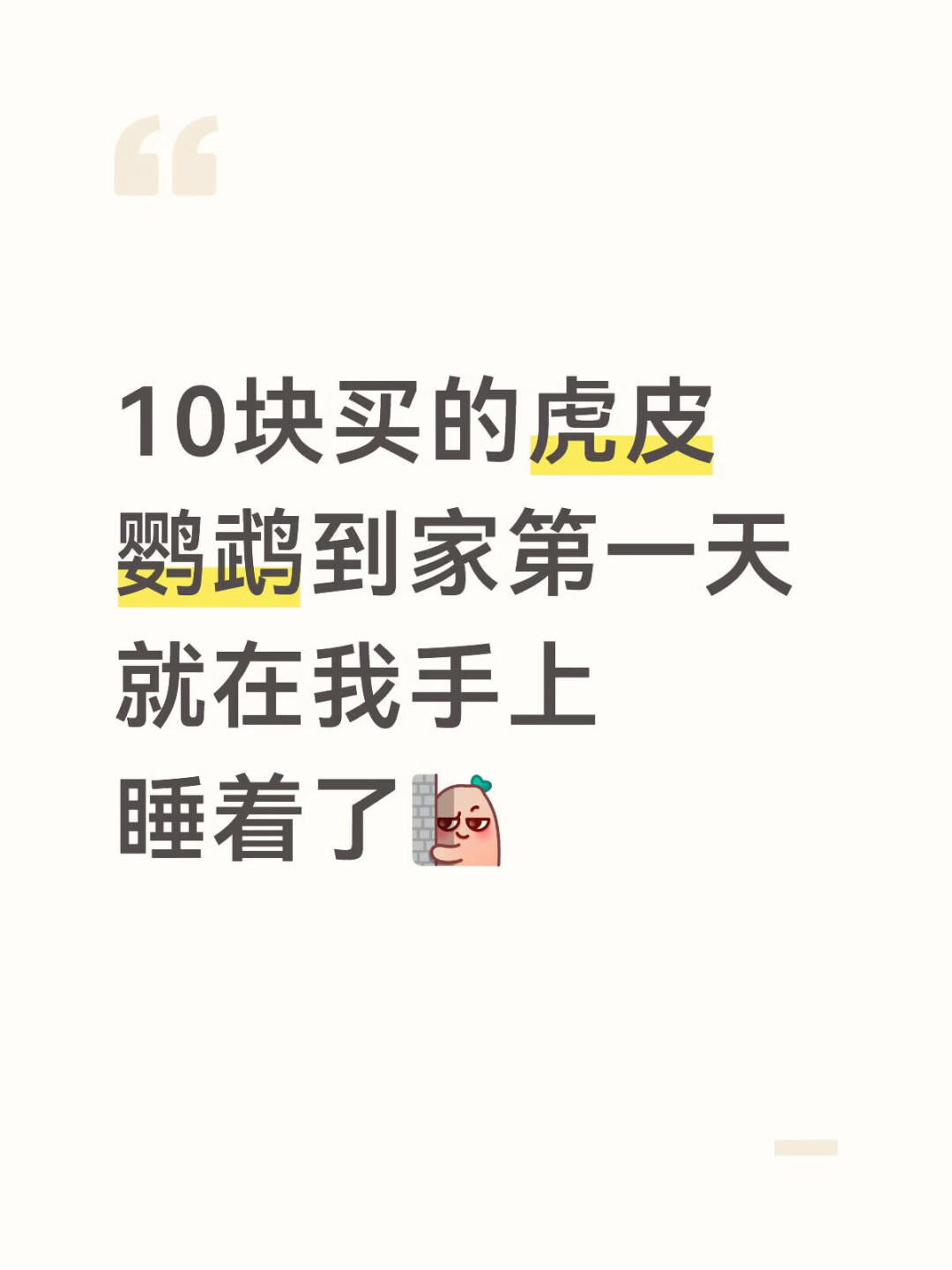手养鸟比笼养贵2到10倍,溢价买的到底是什么:深坑和验鸟清单,付款前先看懂