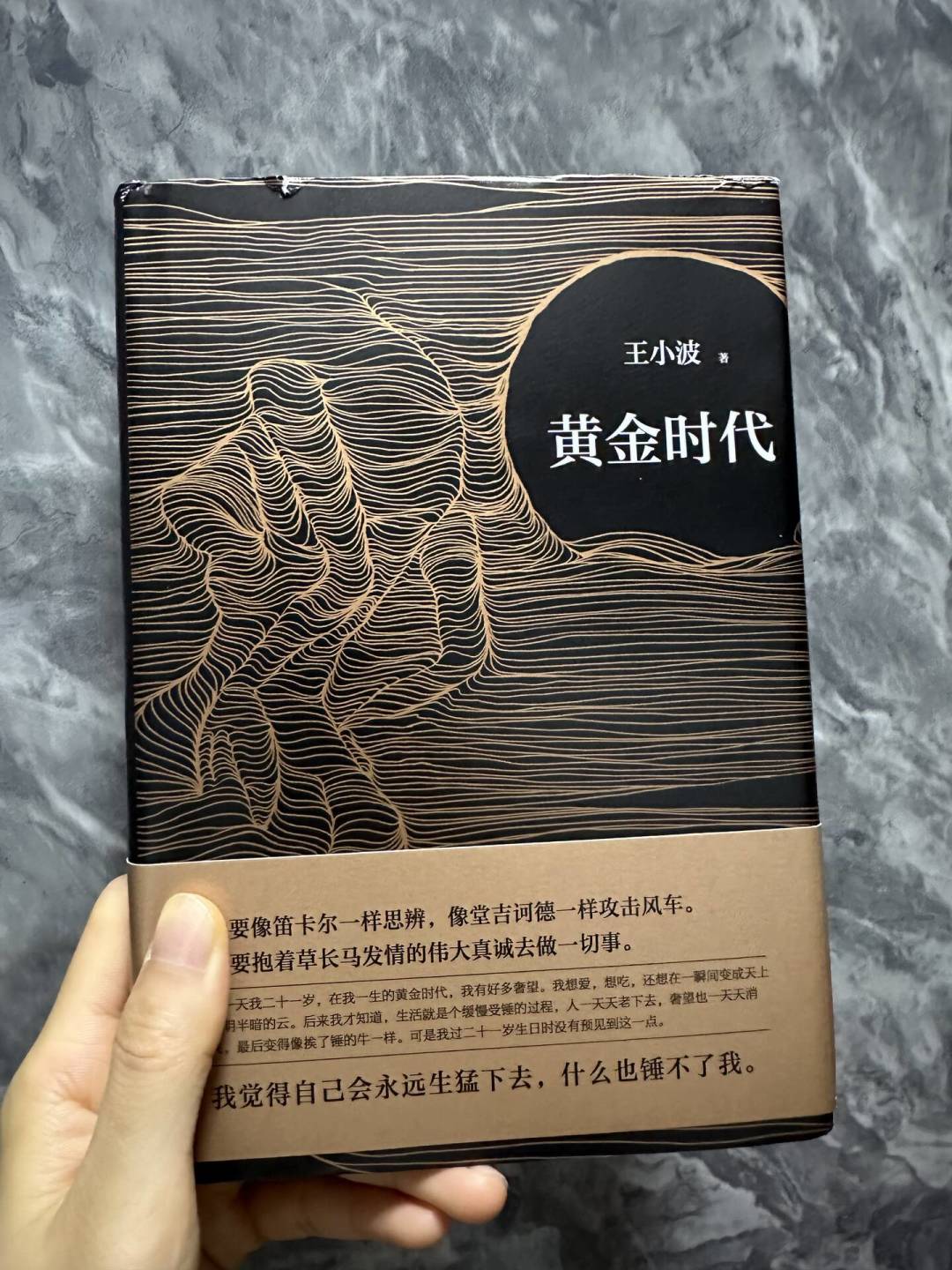王小波口碑在网上撕成两半：一边被捧