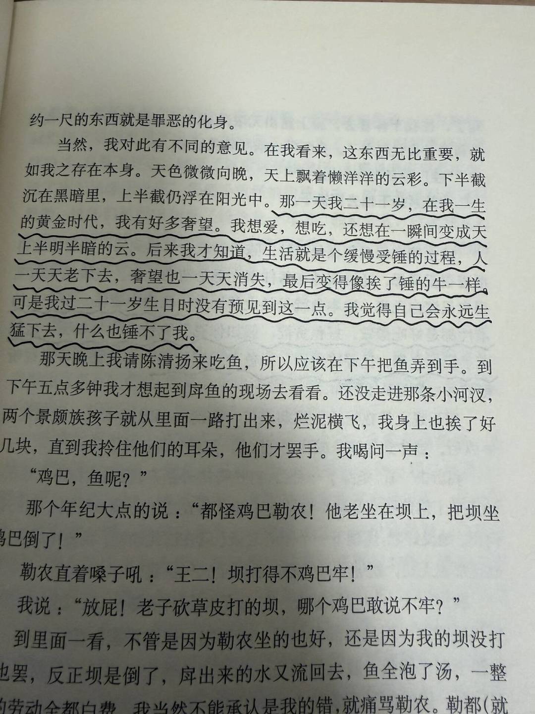 王小波口碑在网上撕成两半：一边被捧