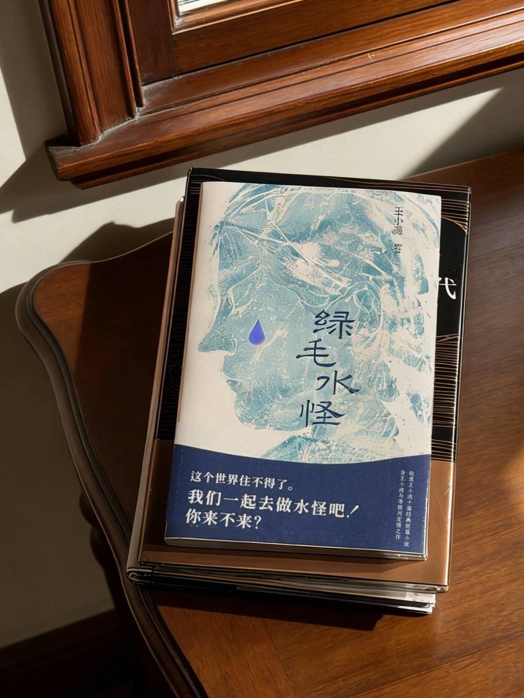 王小波口碑在网上撕成两半：一边被捧