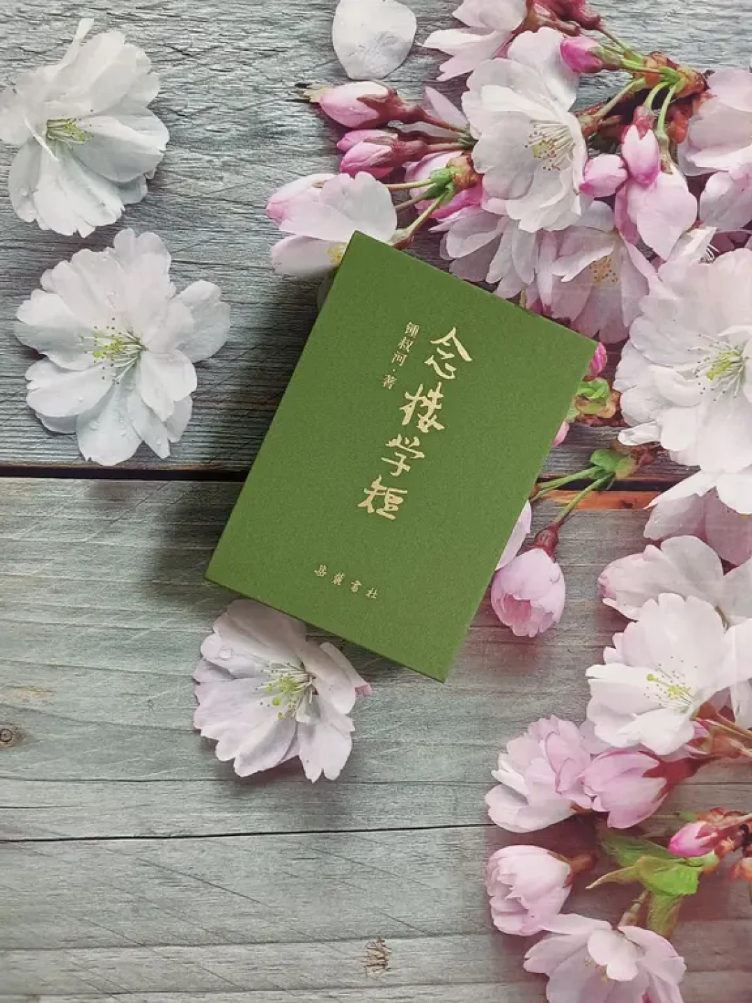 杨绛作序、小红书刷屏两个月:岳麓书社这本《念楼学短》,下手前先把三件事搞清楚