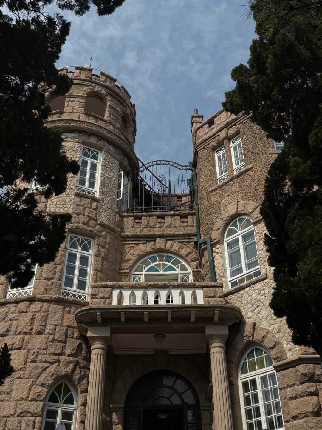 八大关的王牌不是建筑,是树:这份“一路一树”四季时间表值得存