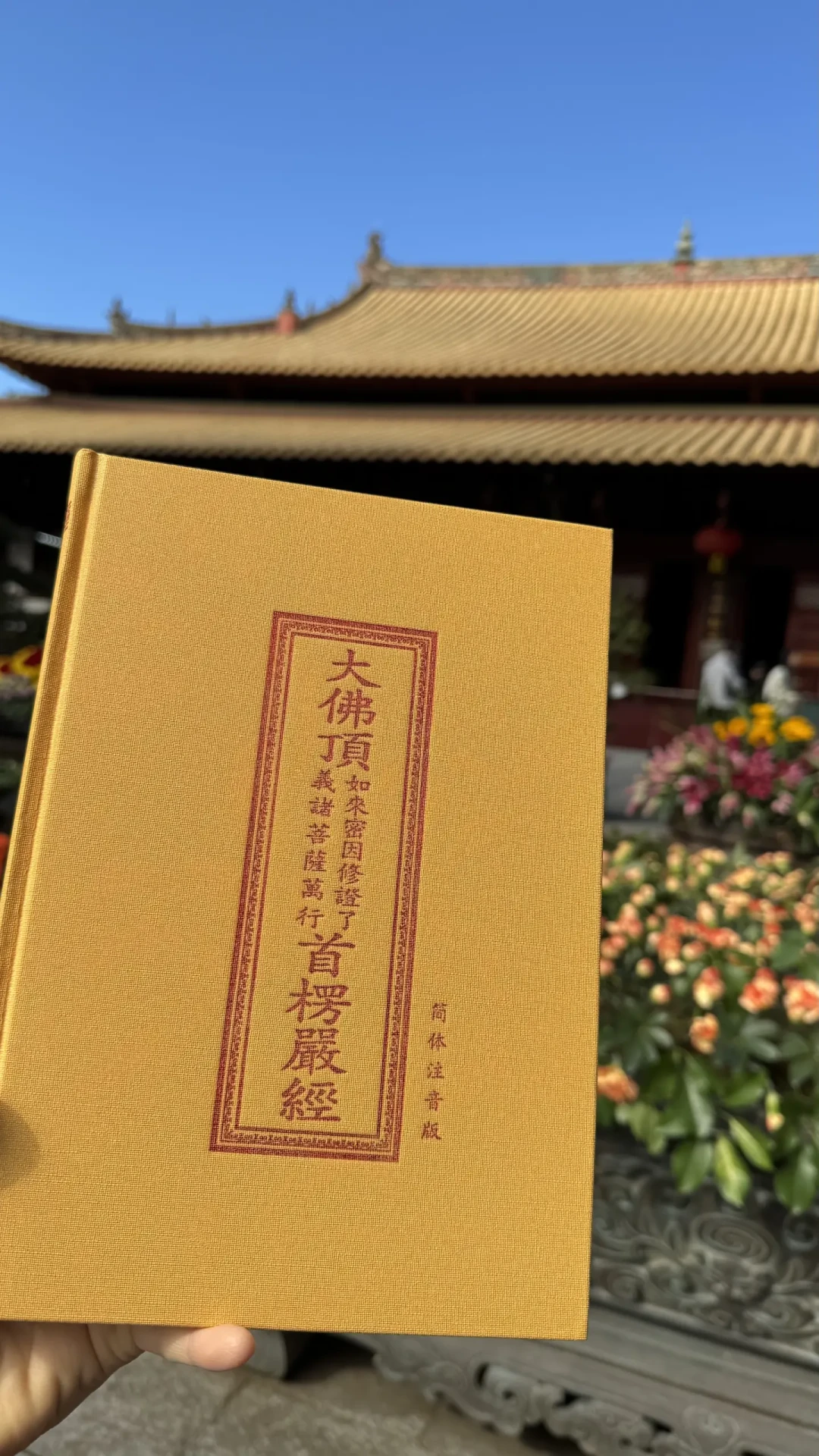 《楞严经》六万多字,到底跟谁读?我把全网的注本和讲经合集都过了一遍