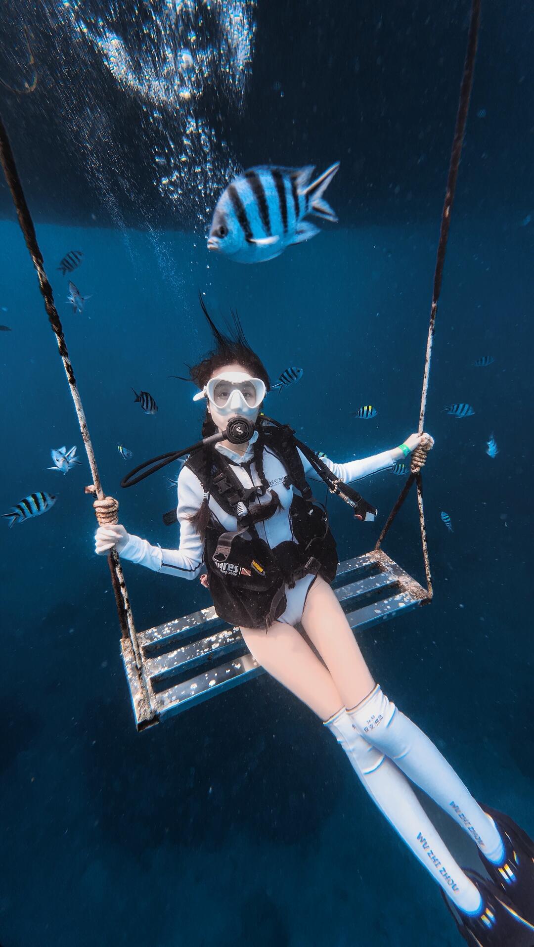 马尔代夫洞潜6人遇难,被种草的