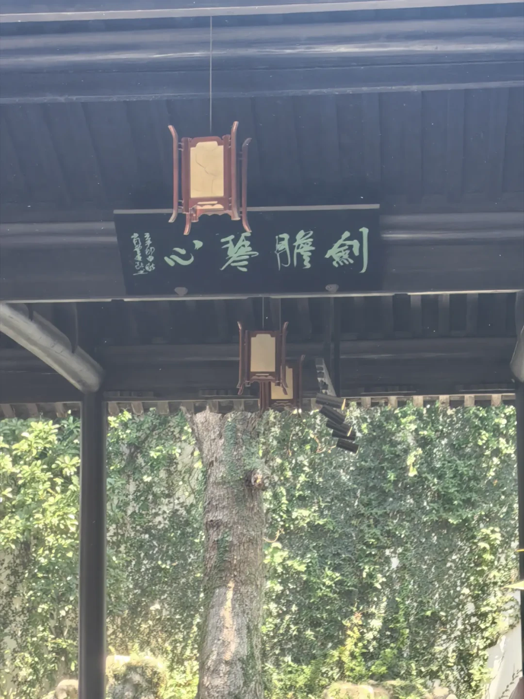 金庸写了15部小说,藏着一个残酷铁律:青梅竹马,几乎赢不了天降