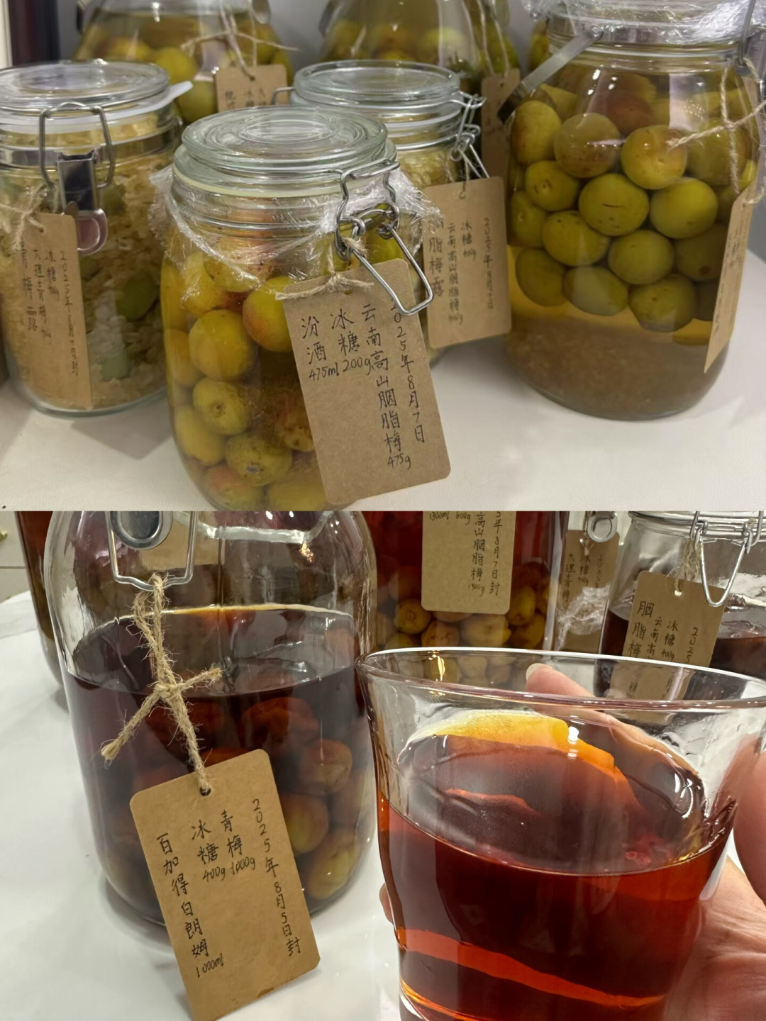 浊了、长白膜、有絮状物、果子漂浮:泡的果酒坏没坏?倒掉或喝掉前,先对照这张表