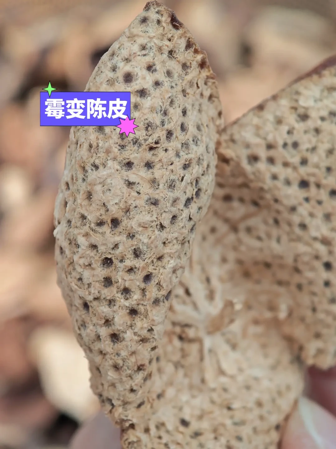 8月底,晒秋前查一查家里的陈皮:4种