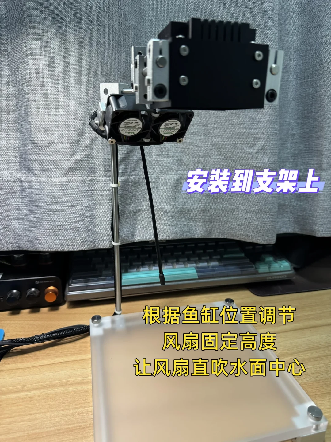 这个夏天已有鱼友整缸团灭：海缸降温，风扇、冰块和冷水机到底怎么选？