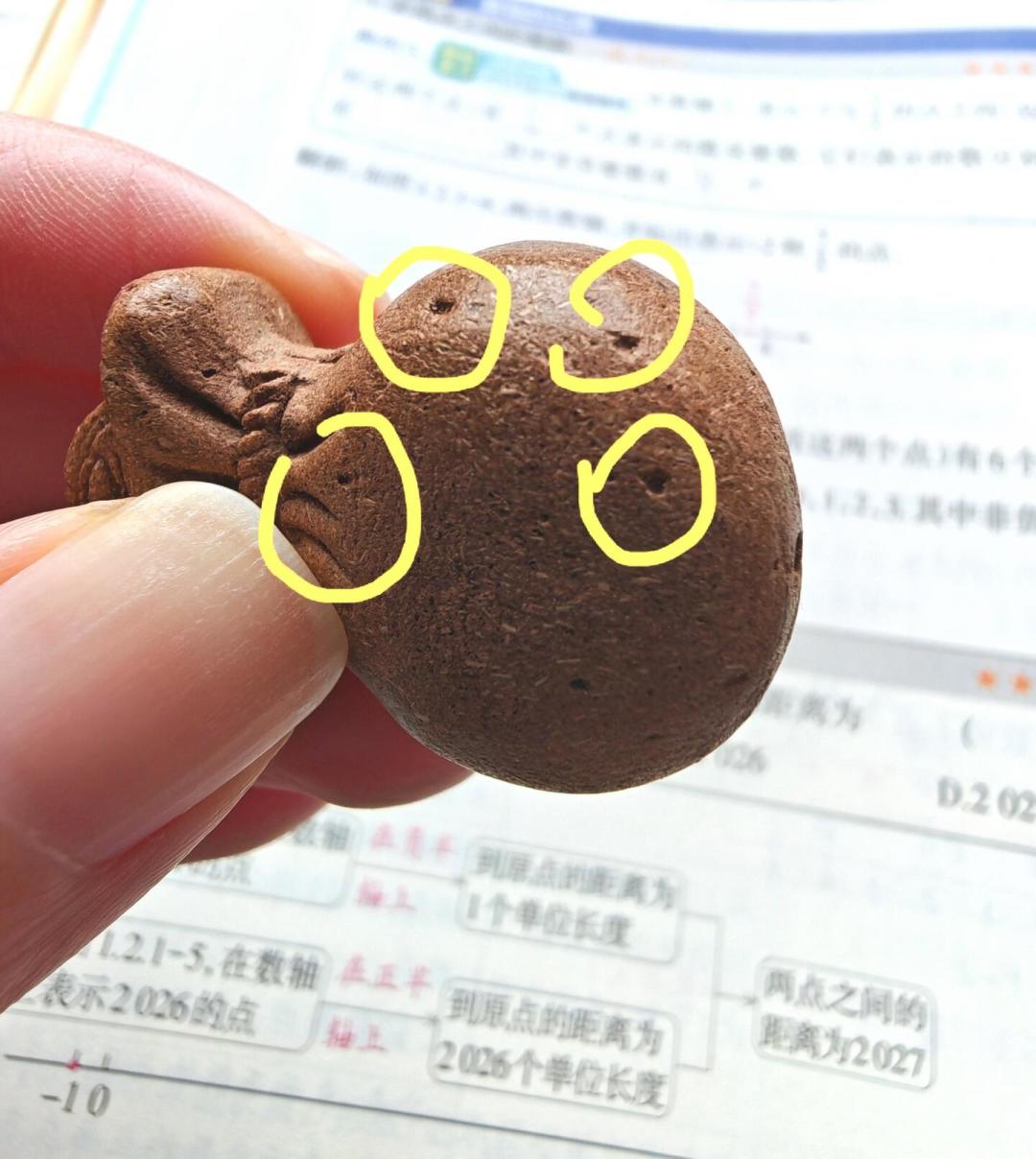 香牌开裂、发霉、全是孔?翻了十几条翻车帖,问题出在哪终于搞懂了