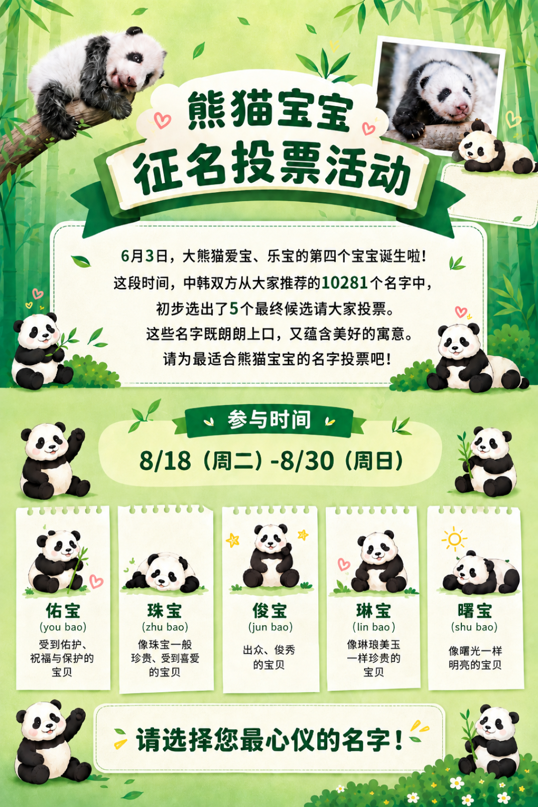 征名第6天,评论区说
