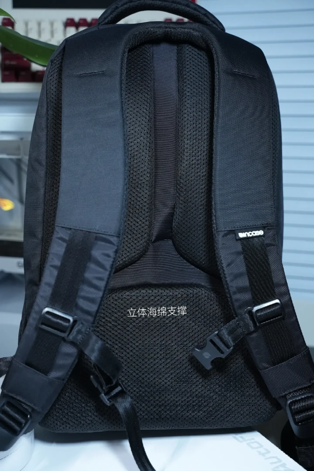 用了5年，背带把衣服磨起球：Incase通勤背包还值得买吗？