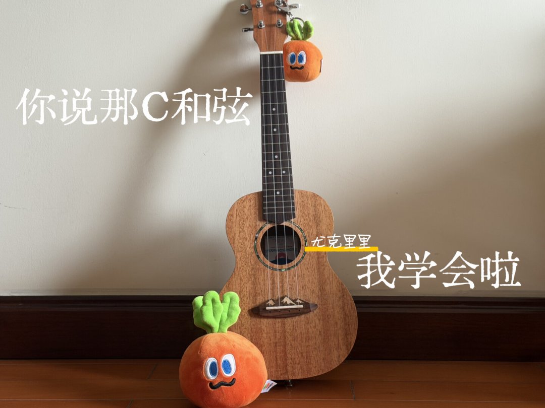 25元一节的也是课，200元一节的也是课：尤克里里学琴这笔账，我翻遍全网替你算明白了