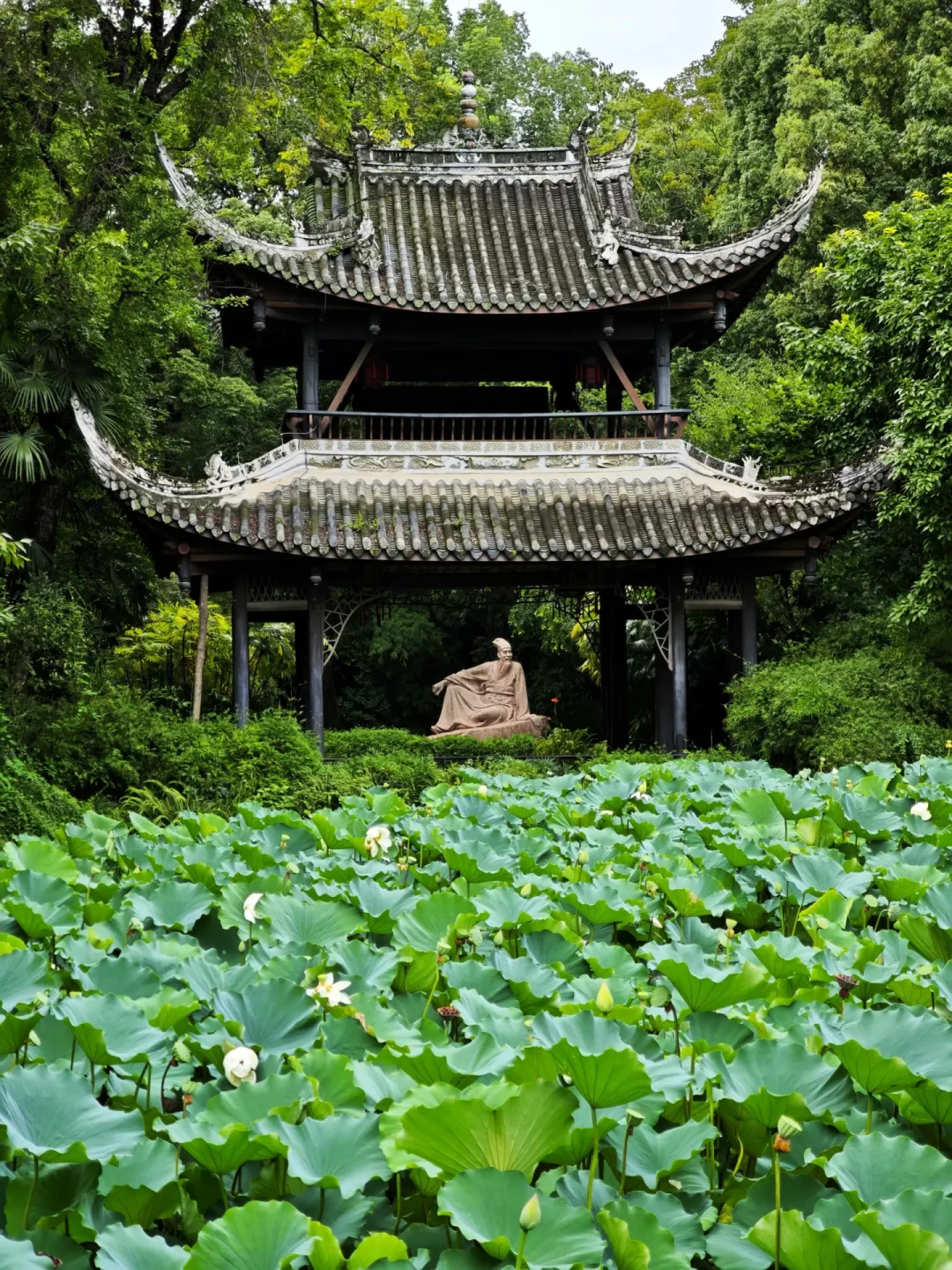 把苏东坡叫作“无可救药的乐天派”,可能是对他最大的误读