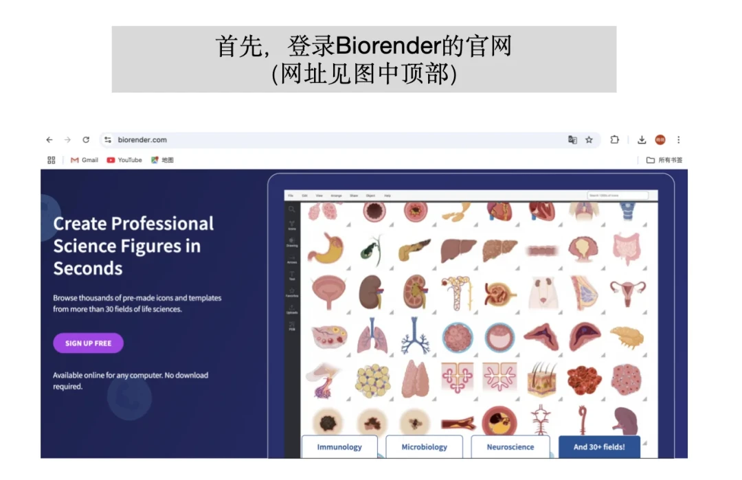 BioRender好用,但一年要3000块:付费前先算清会员、试用、版权三笔账