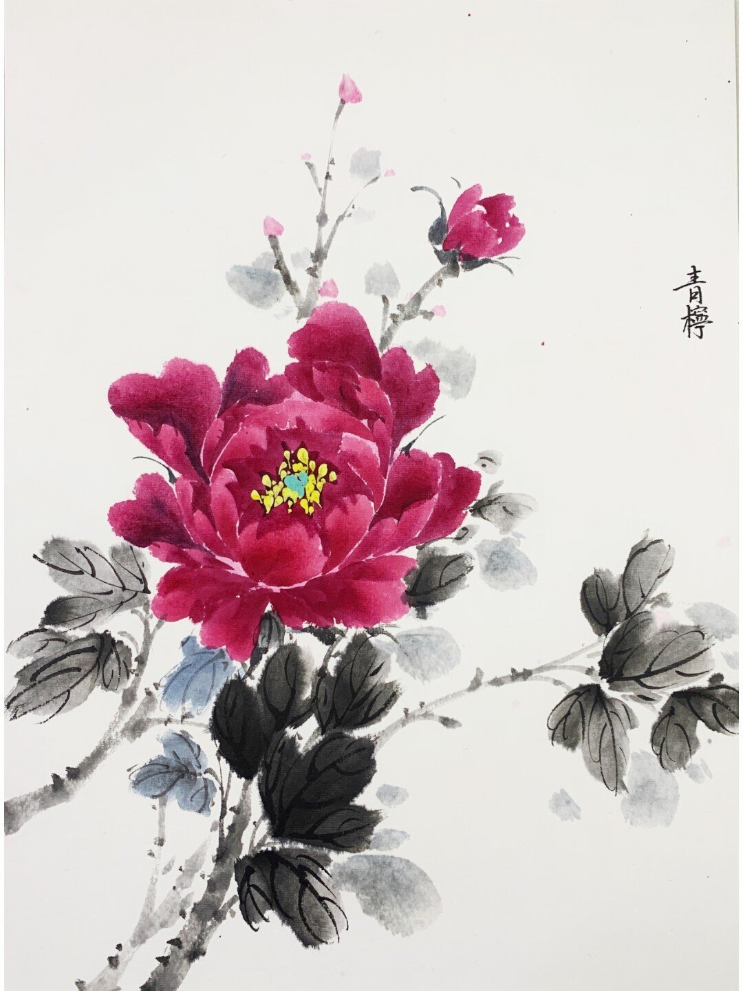 学写意牡丹该花多少钱？新手笔墨纸三档预算，先避开