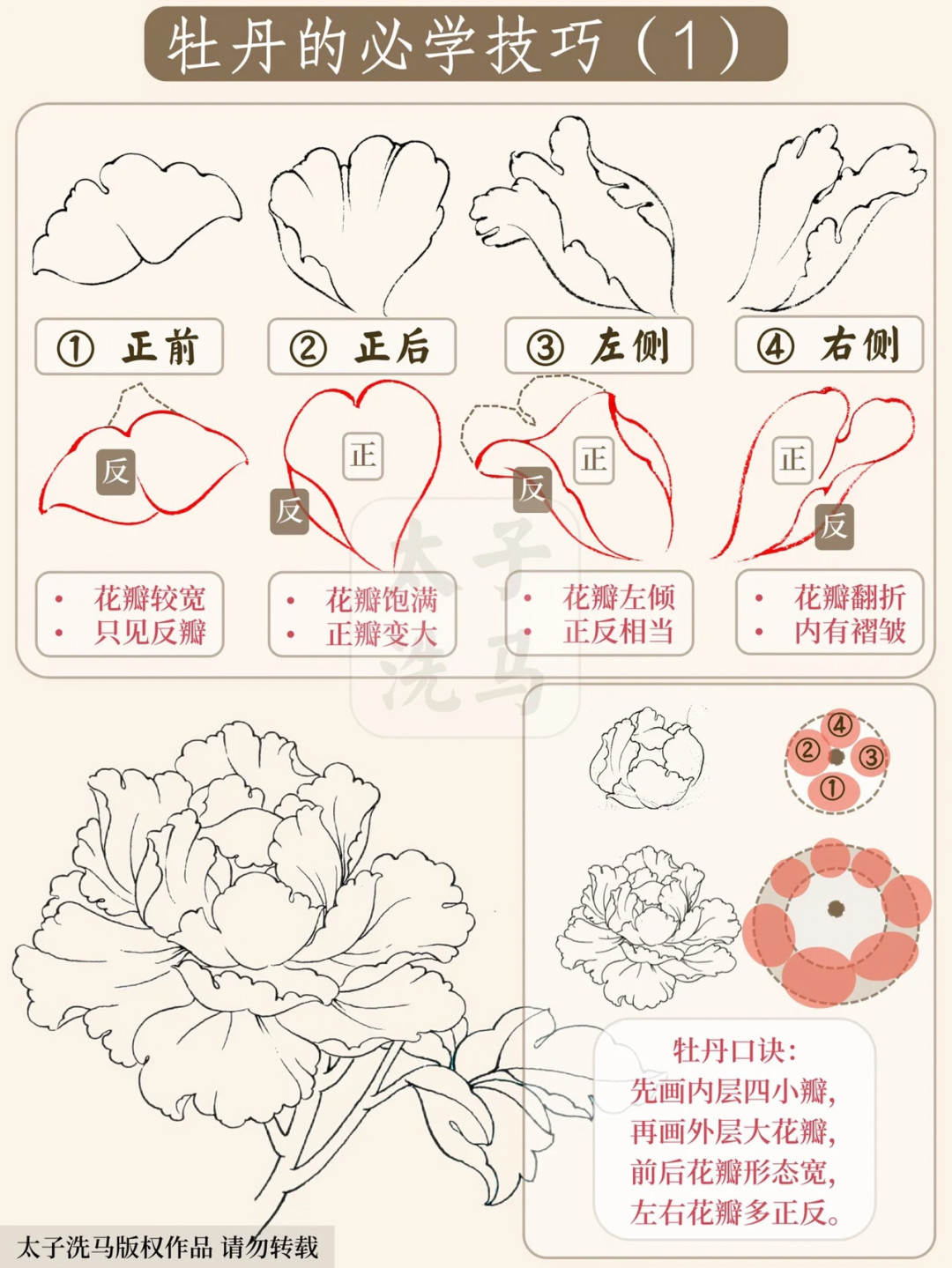 学写意牡丹该花多少钱？新手笔墨纸三档预算，先避开