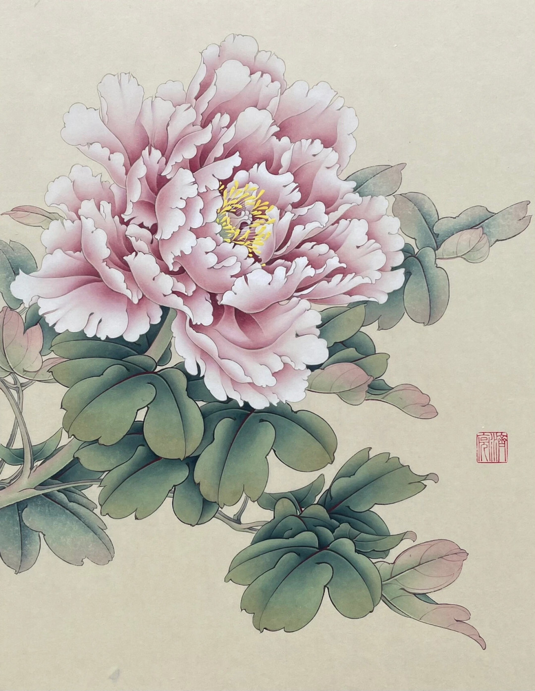 学写意牡丹该花多少钱？新手笔墨纸三档预算，先避开