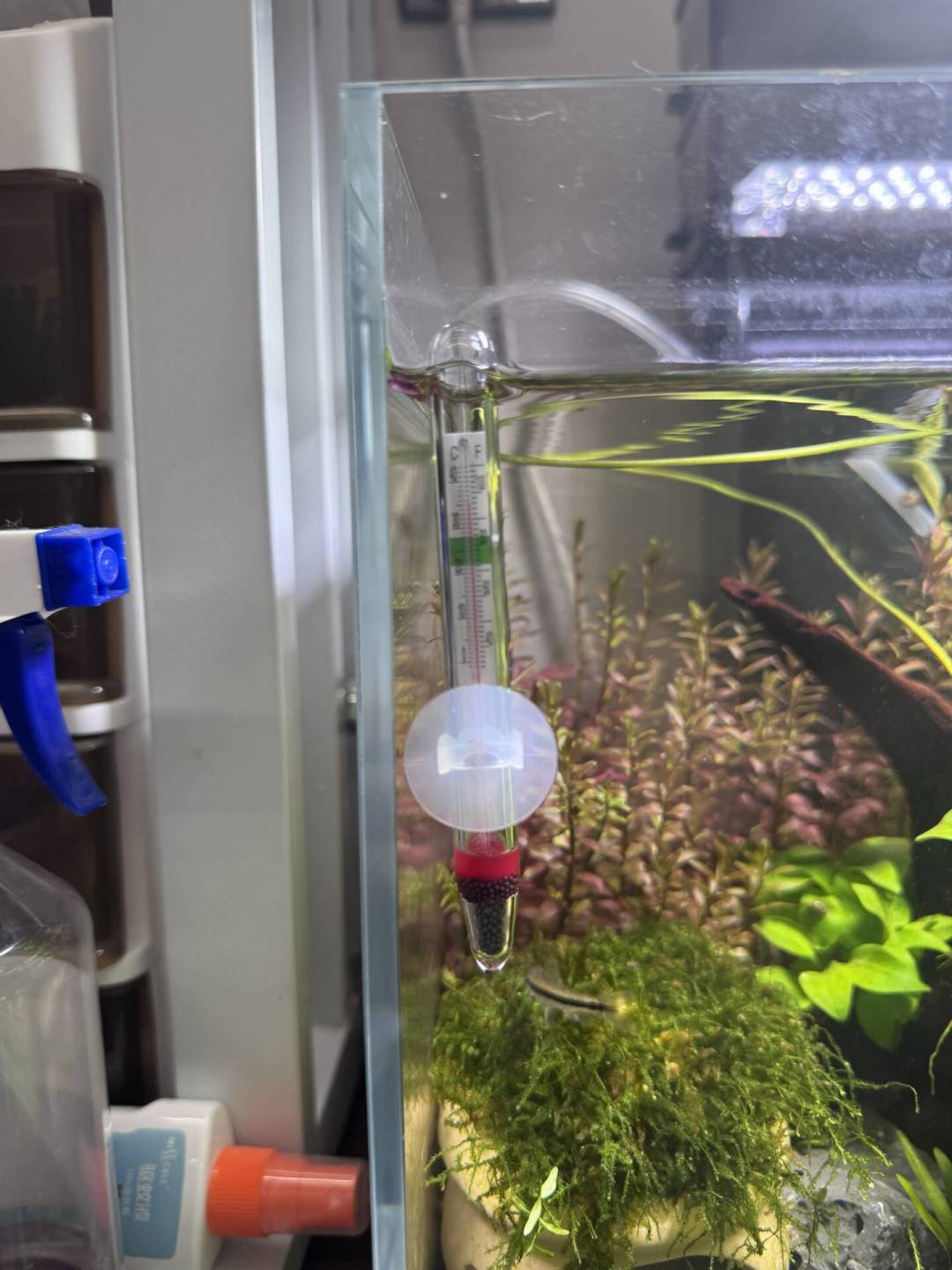 水温破32℃,别急着扔冰块:六种降温方案对比,最值得花的不到50元