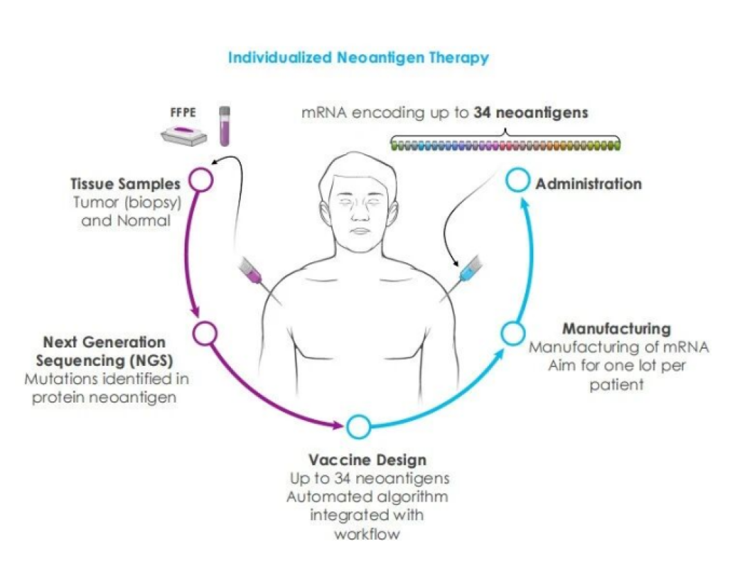 mRNA癌症疫苗刷屏:想入局计算生物学的人先看这篇