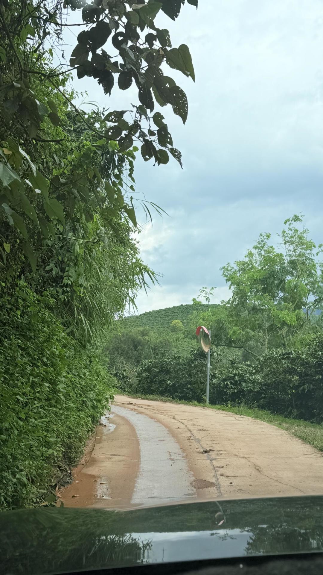 普洱咖啡庄园这周集体爆雷:对完20多篇真实评价,我整理了这份排雷清单