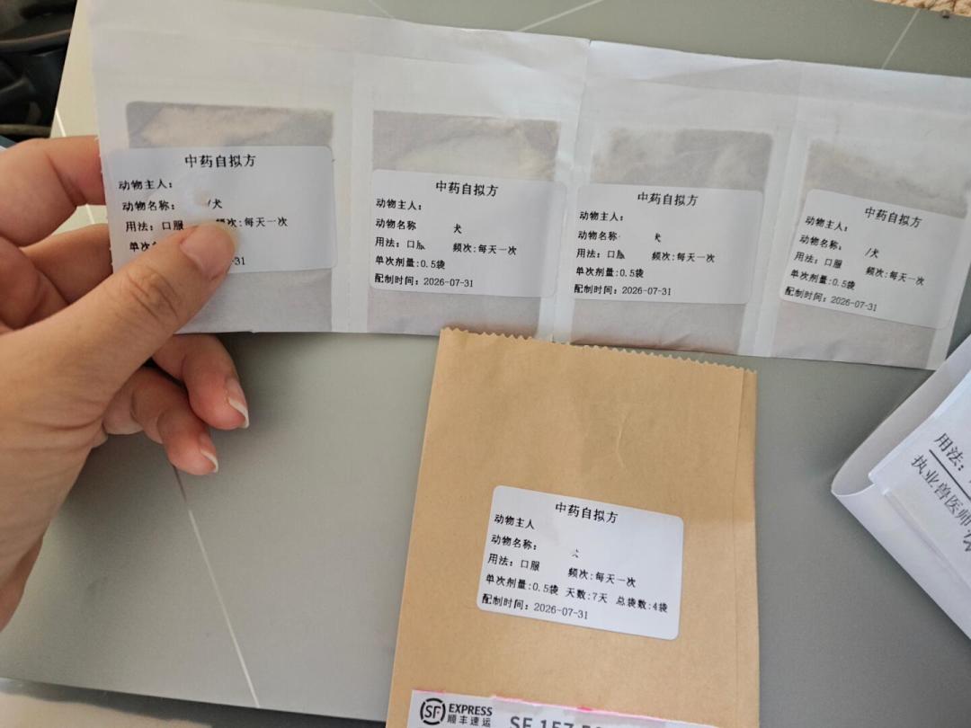 给狗扎针一次300元:宠物针灸到底治什么、怎么挑才不踩坑,我替你查了一圈