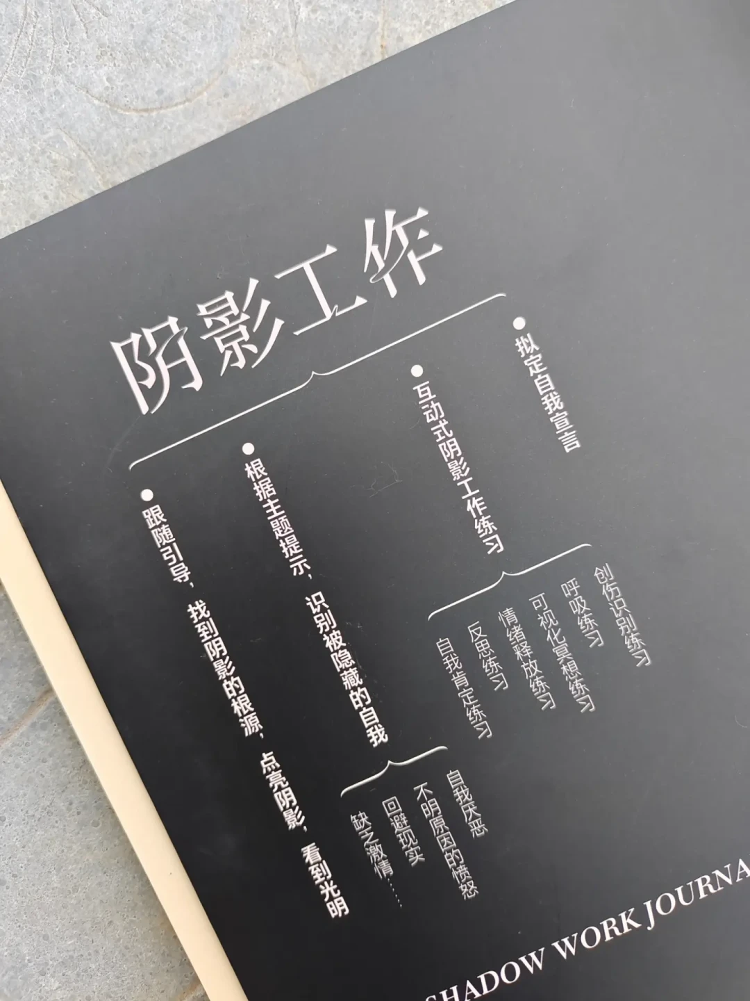 TikTok爆火的《阴影工作日志》一半是空白页:阴影工作,到底该花多少钱