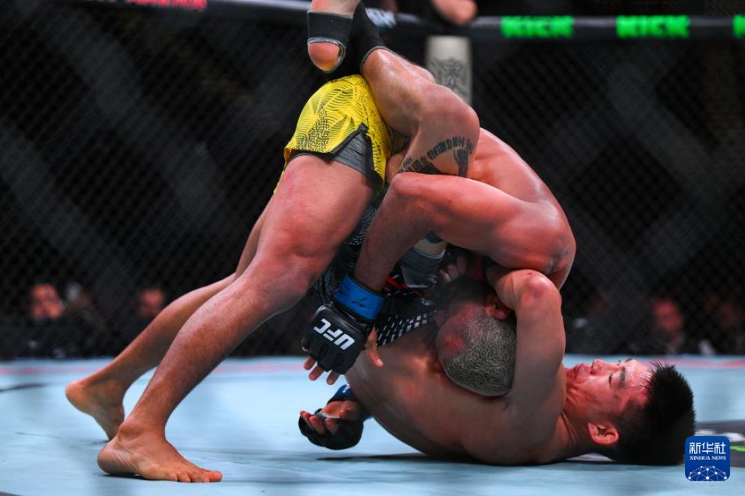 UFC格斗周末登陆上海:两天两赛、12人次中国选手出战,买票观赛前先看这篇