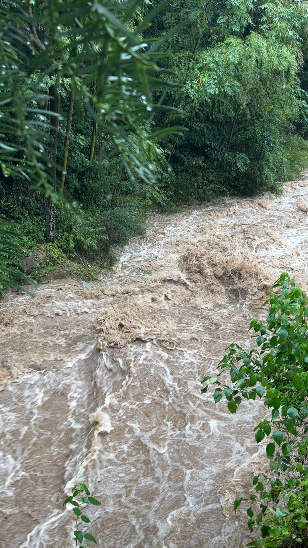 同样是