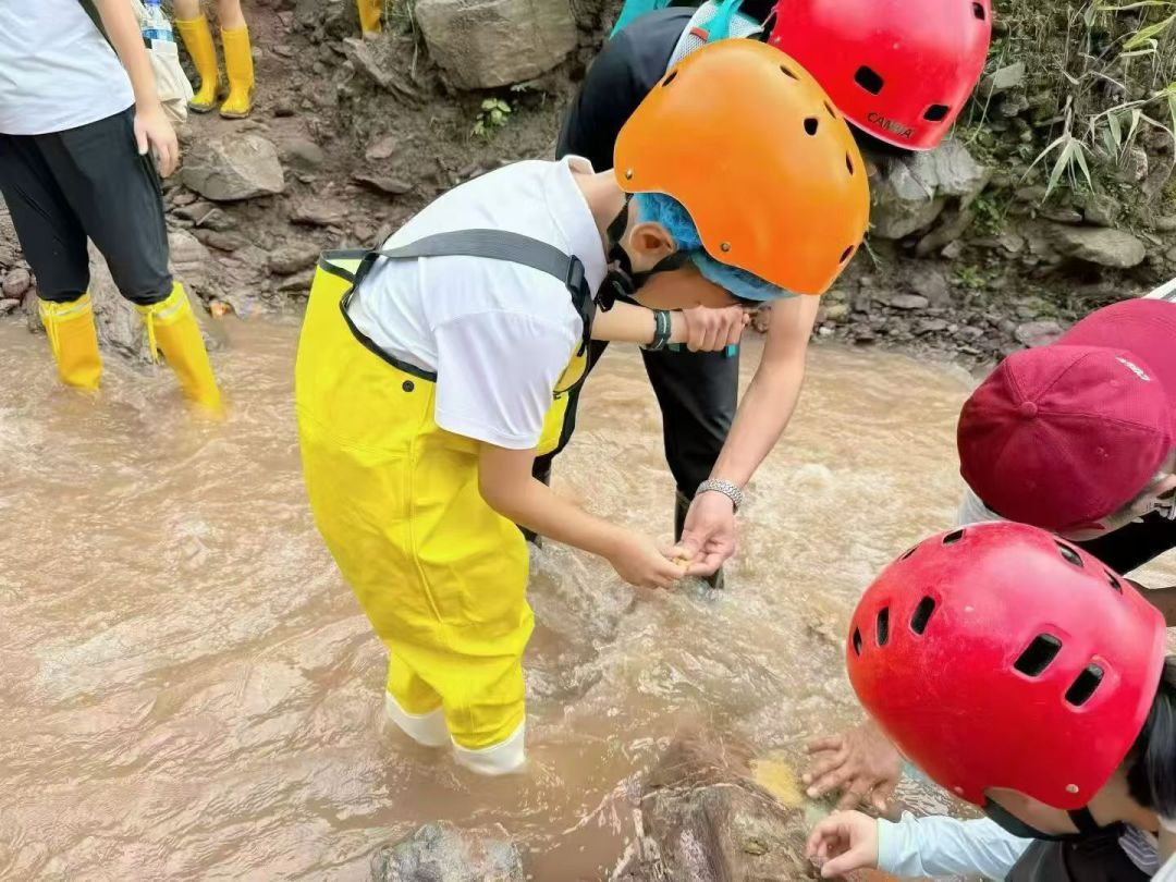 同样是