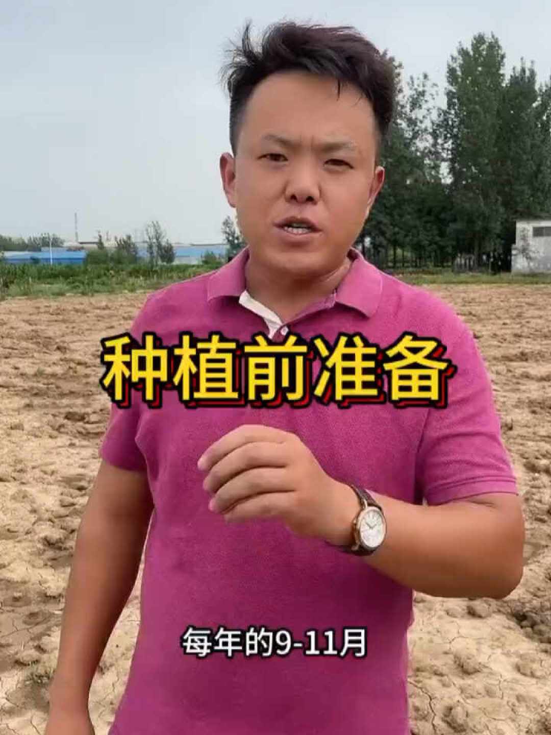 8月底,花境的