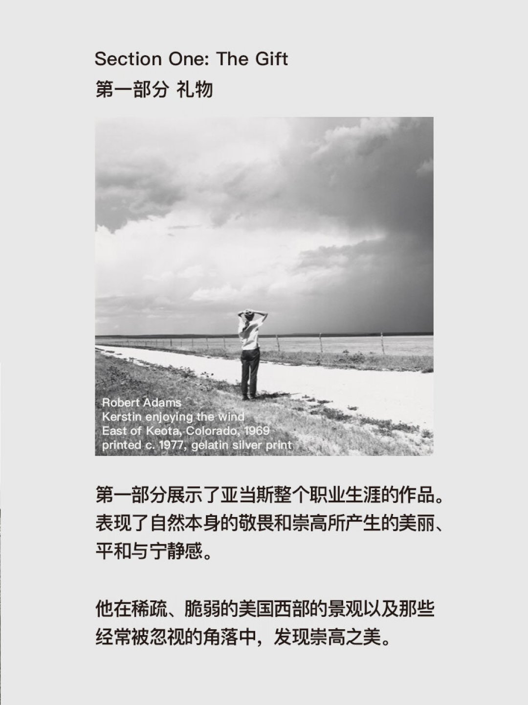 再版要等好几年,绝版说没就没:罗伯特·亚当斯画册怎么买?2026年版单请收好