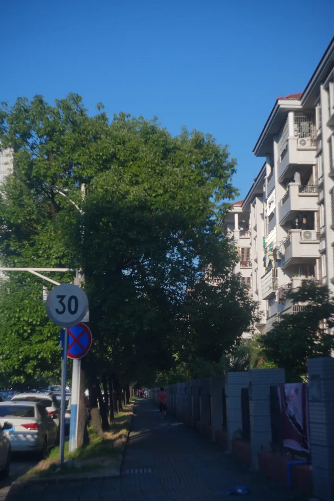 300块就能买到蔡司?卡尔蔡司耶拿天塞50/2.8入坑前,把版本、通病和成本说清楚