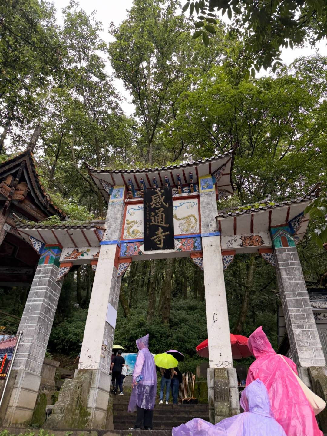 寂照庵绣球季进入后半程:斋饭排队、上山路线、雨季时间窗,一次讲清楚