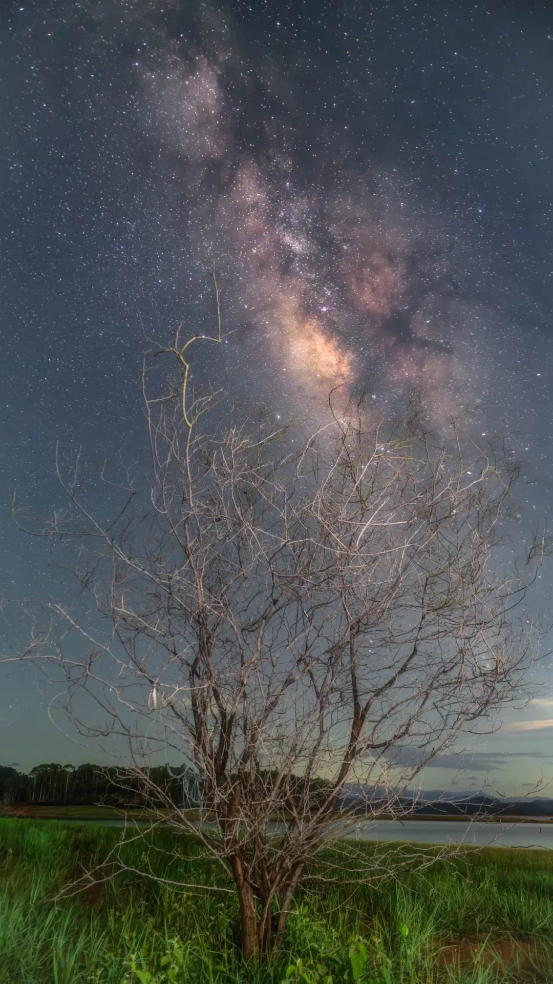 英仙座收官,你花22块买的NightCap别急着吃灰:星轨银河参数、坑和下一站,一次讲清