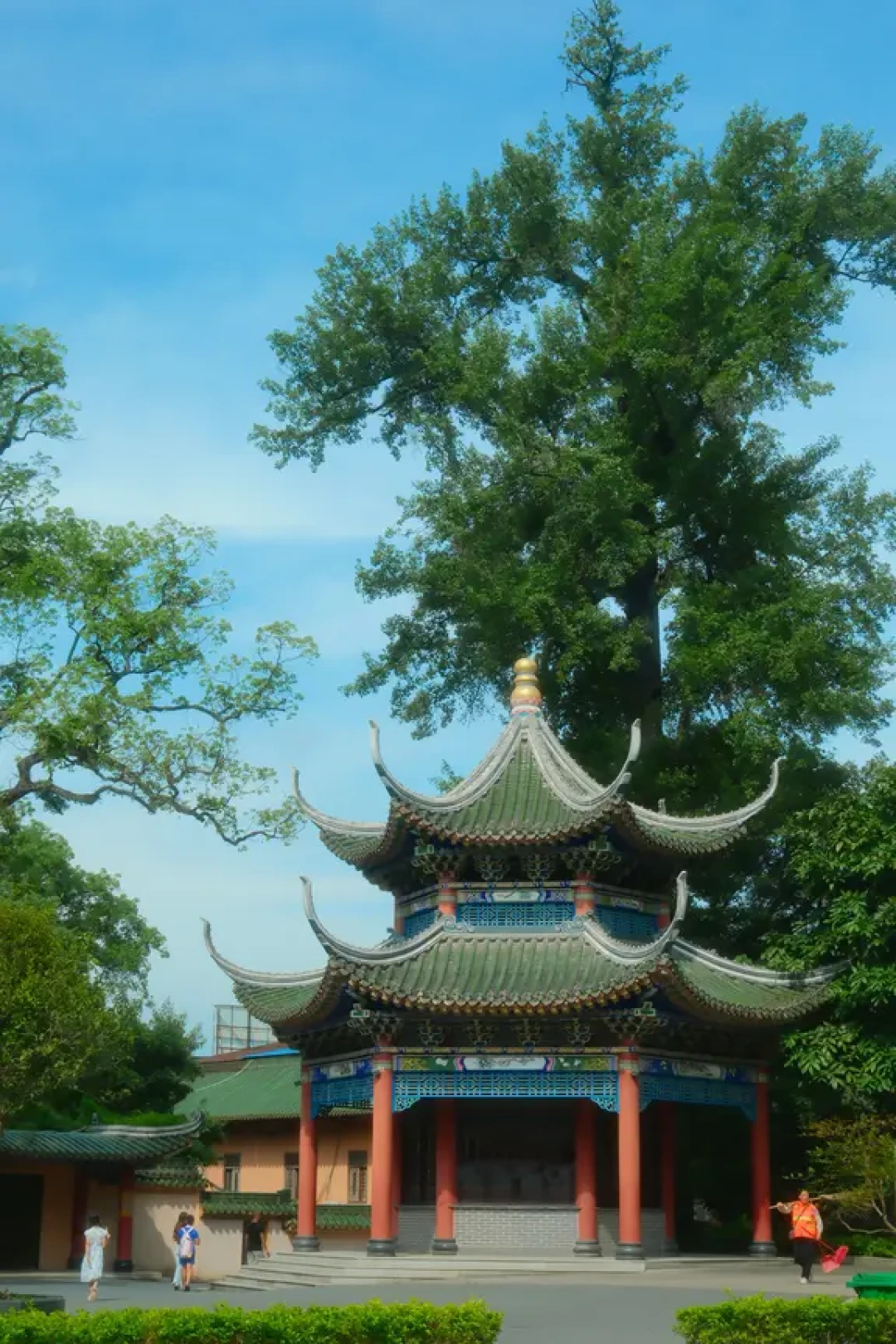 越来越多人用《六祖坛经》治内耗:翻开书之前,先看懂这篇