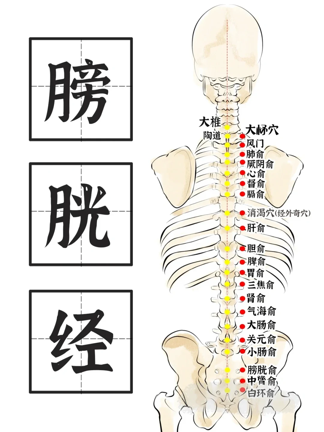 今天处暑,全网又在刷