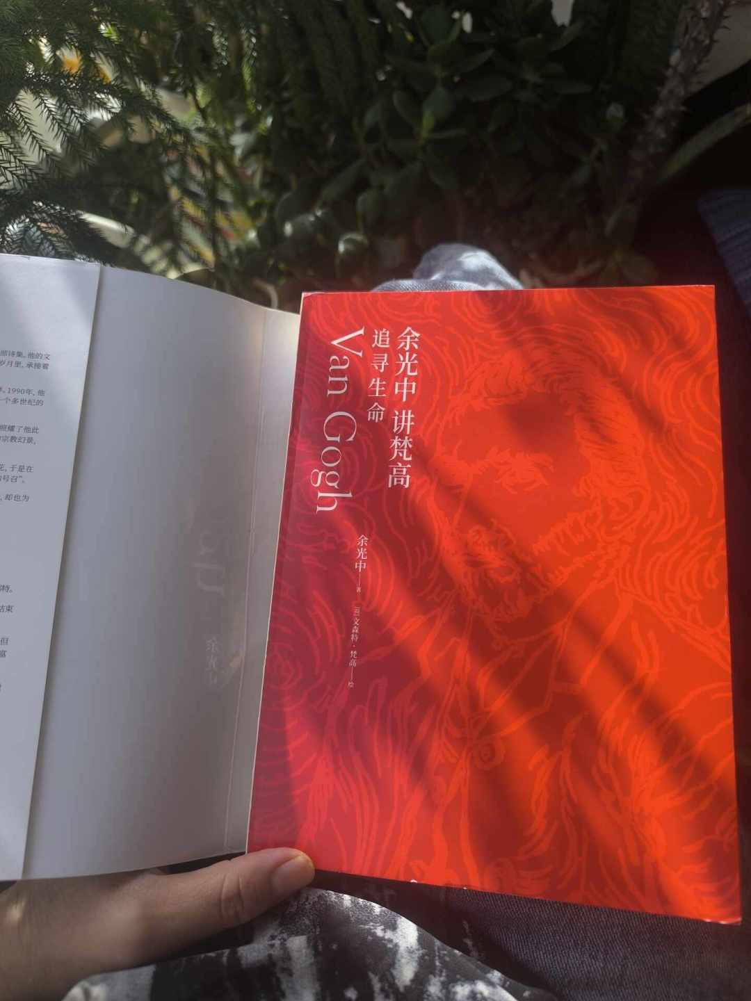 别急着下单《乡愁》:余光中的书有几十种版本,第一本这样选不踩坑