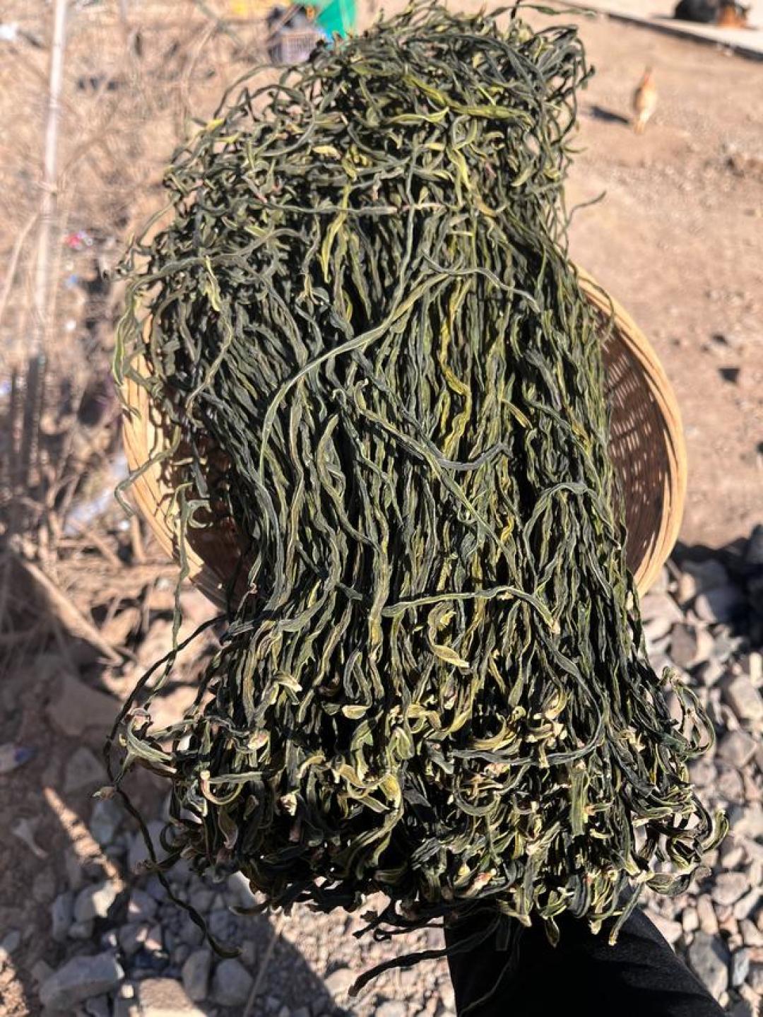 十斤鲜菜才晒一斤,难怪干豆角敢卖几十块一斤:今天处暑,“晒秋”的末班车还赶得上
