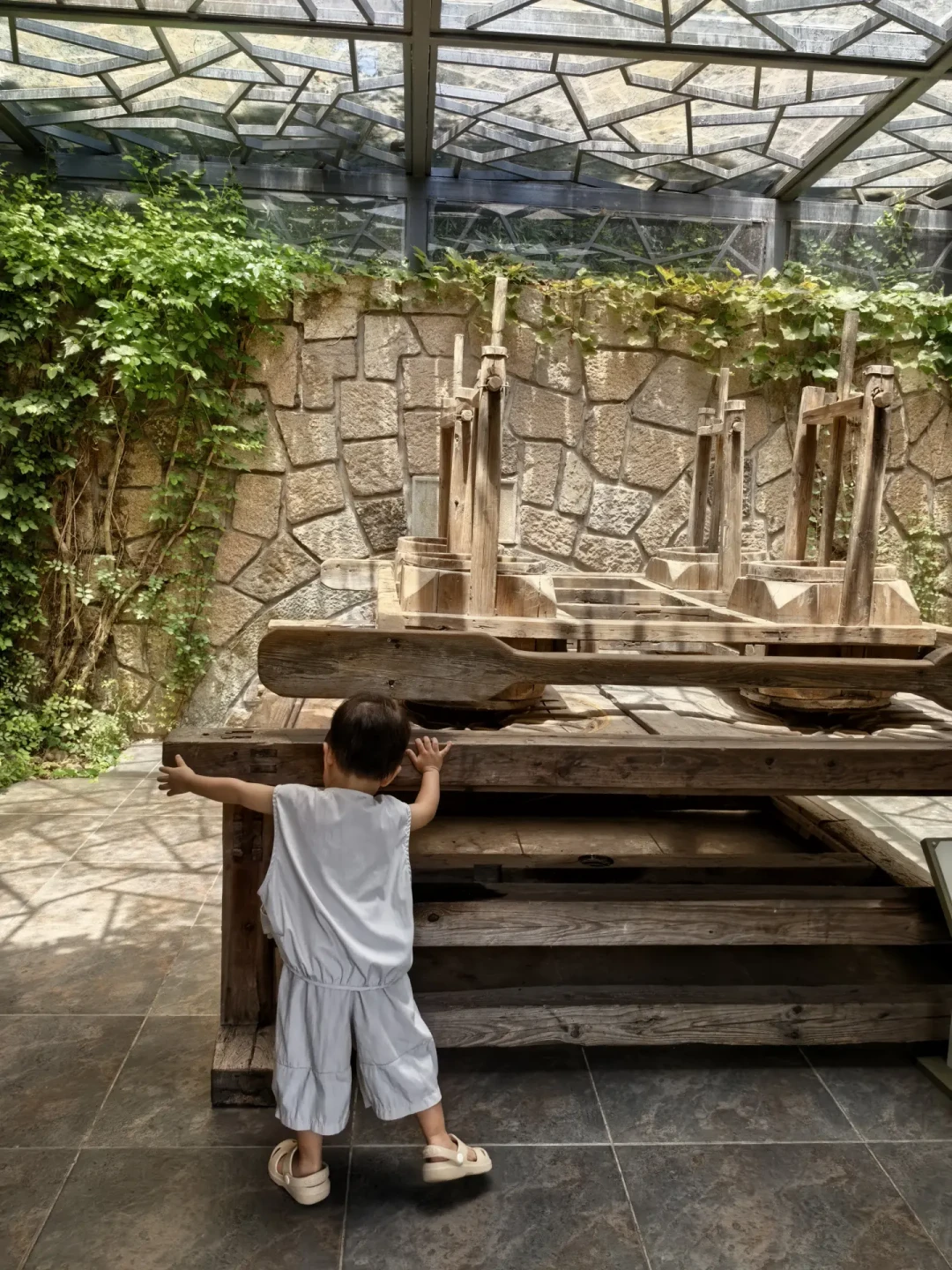 去中国茶叶博物馆前:两个馆区、一个临展、三个时间窗口,一次说清