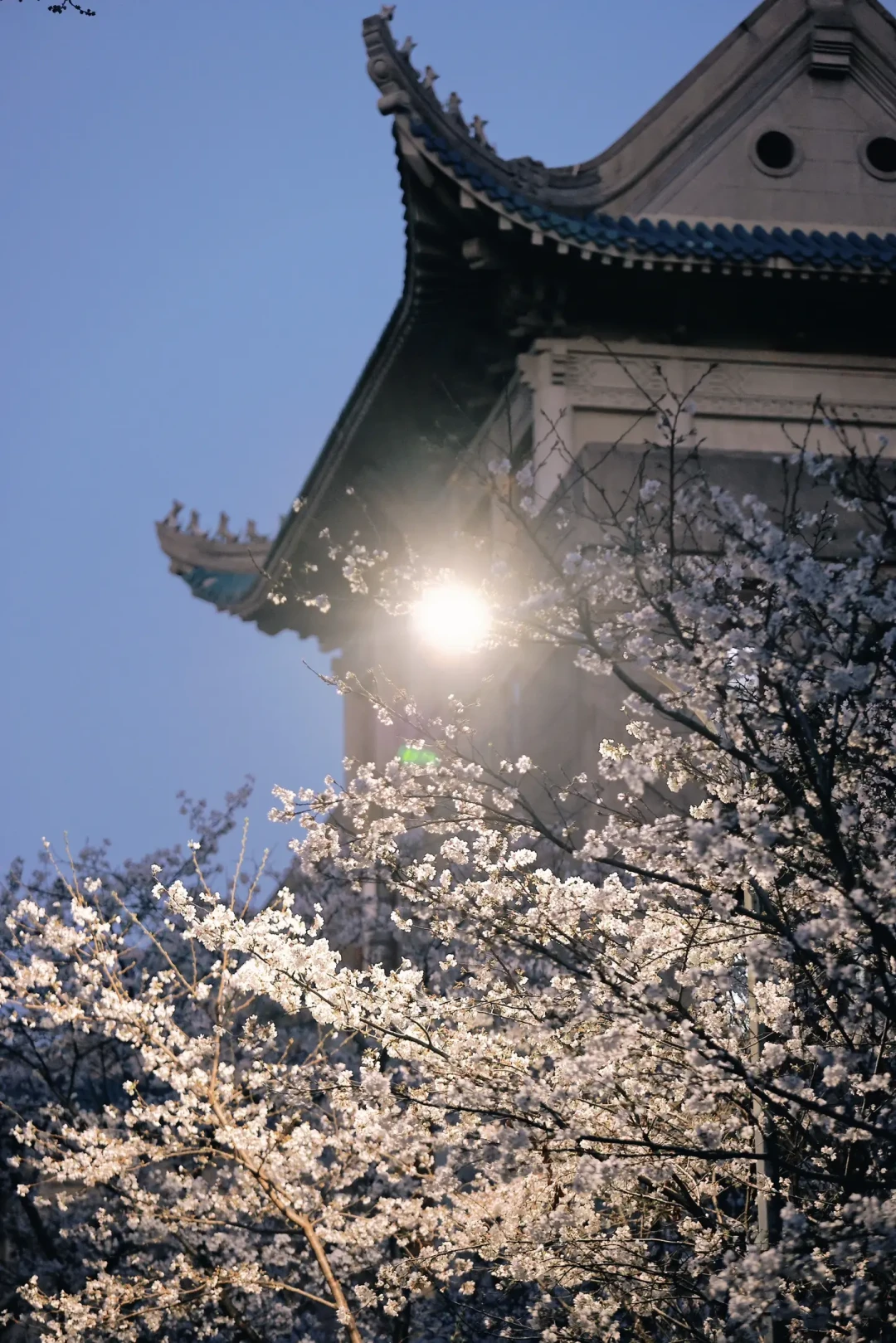美图秀秀会员值得买吗？价格摸底、五条省钱路子、三个避坑点，一篇说清