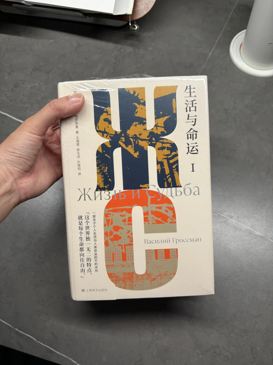 马伯庸说“后悔读晚了”的900页大部头:《生活与命运》三个版本怎么选、怎么读完