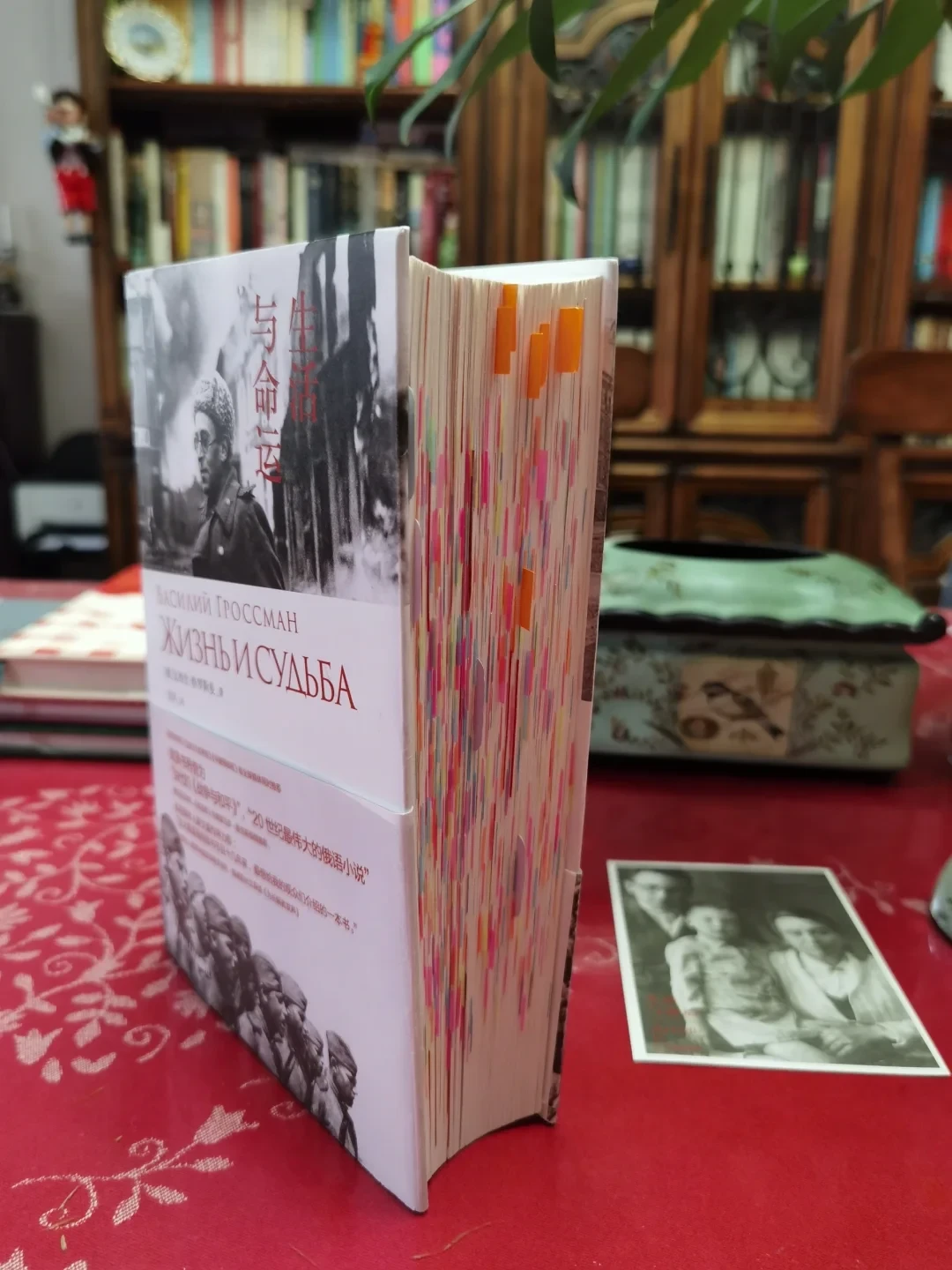 马伯庸说“后悔读晚了”的900页大部头:《生活与命运》三个版本怎么选、怎么读完