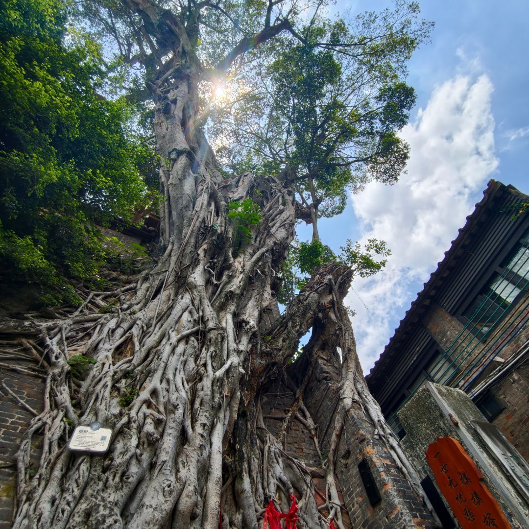 南风古灶25元门票,外地人是踩坑吗?算清玩陶和免费区的账,我心里有数了
