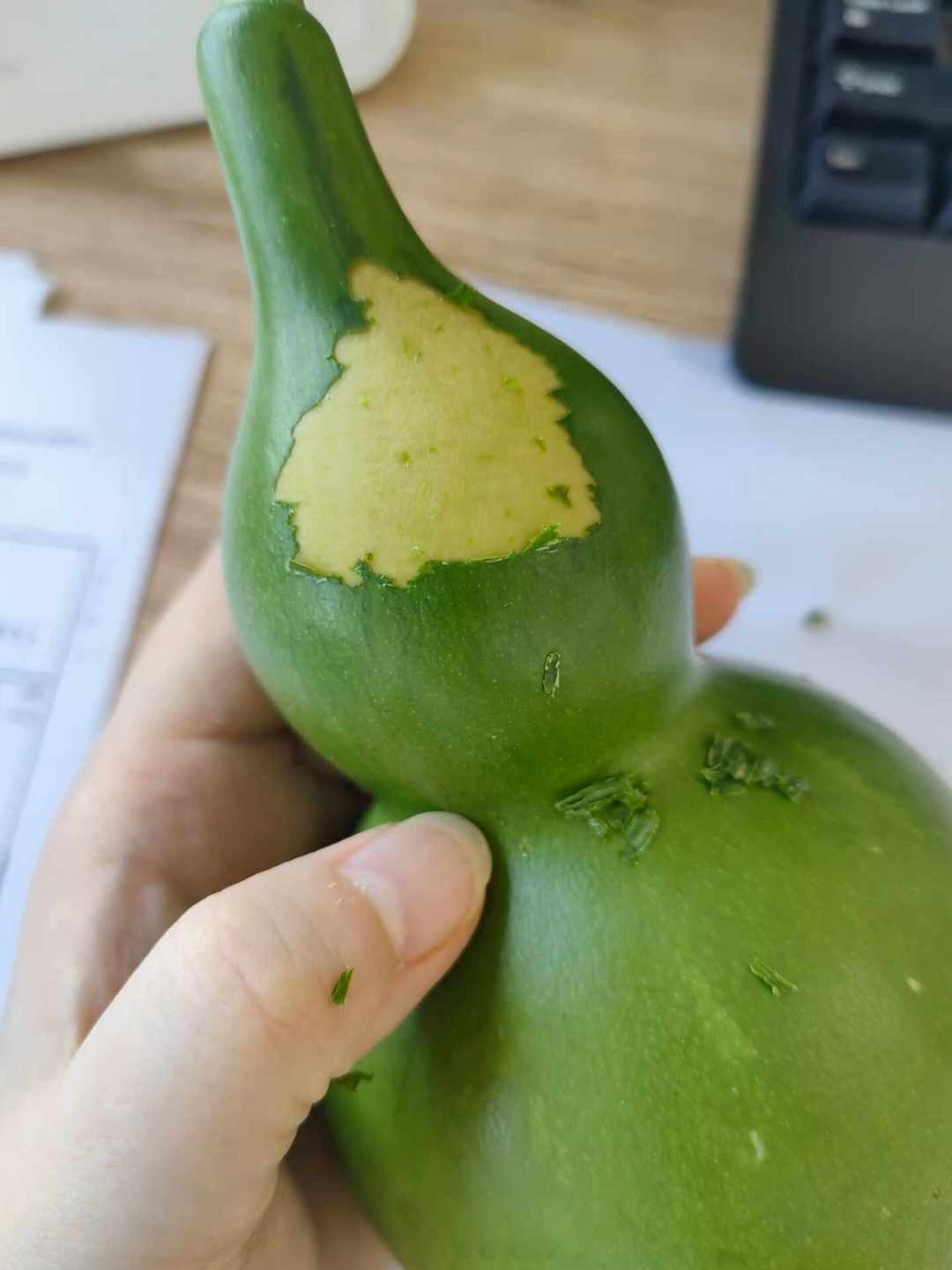 八月下旬正是青皮打皮季:你那只15块的超市葫芦,动手前先看看这份翻车汇总
