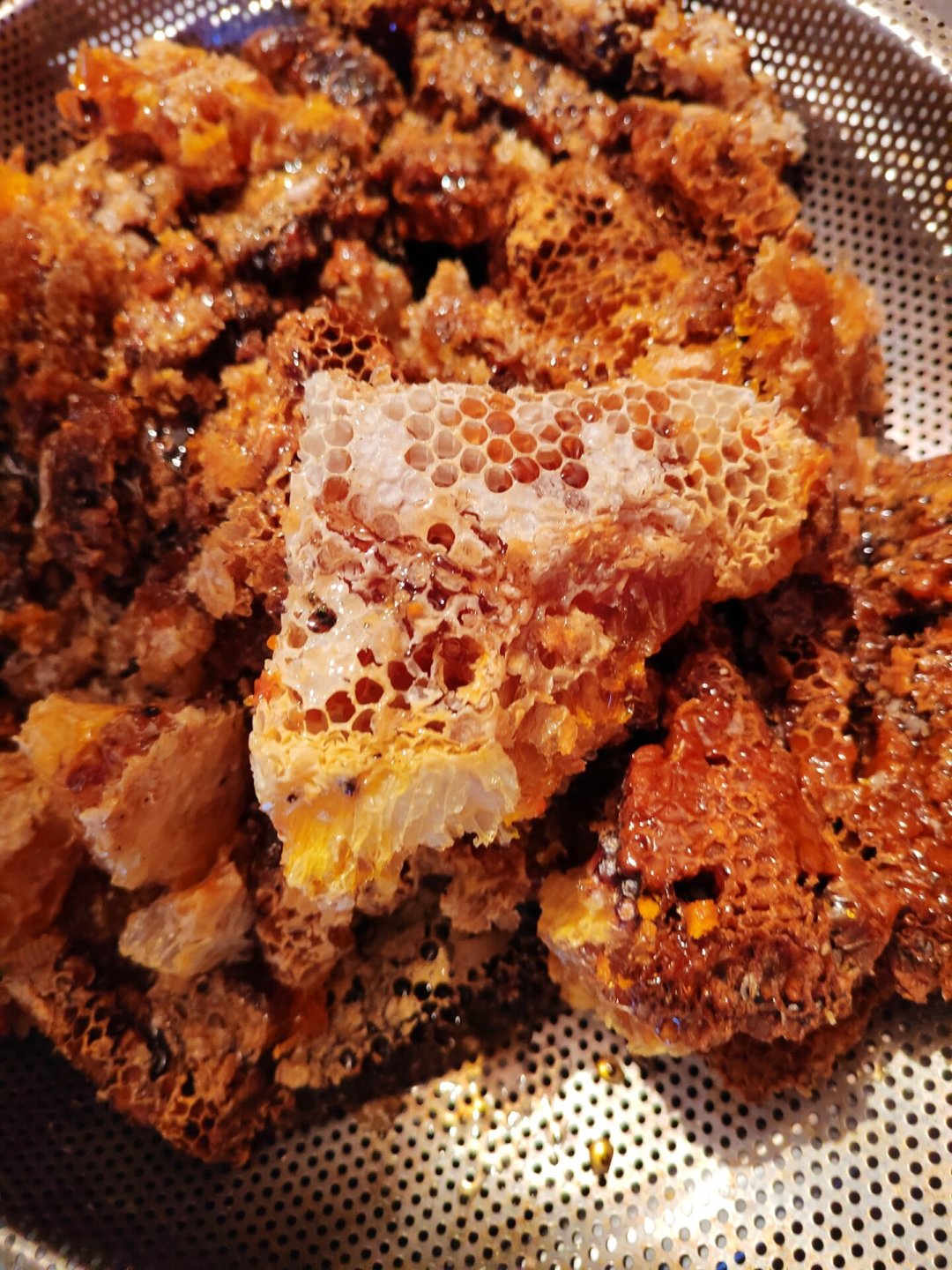 8月下旬,林下养蜂最难熬的两周:胡蜂蹲守巢门,秋逃蜂却住进了别人的诱蜂箱