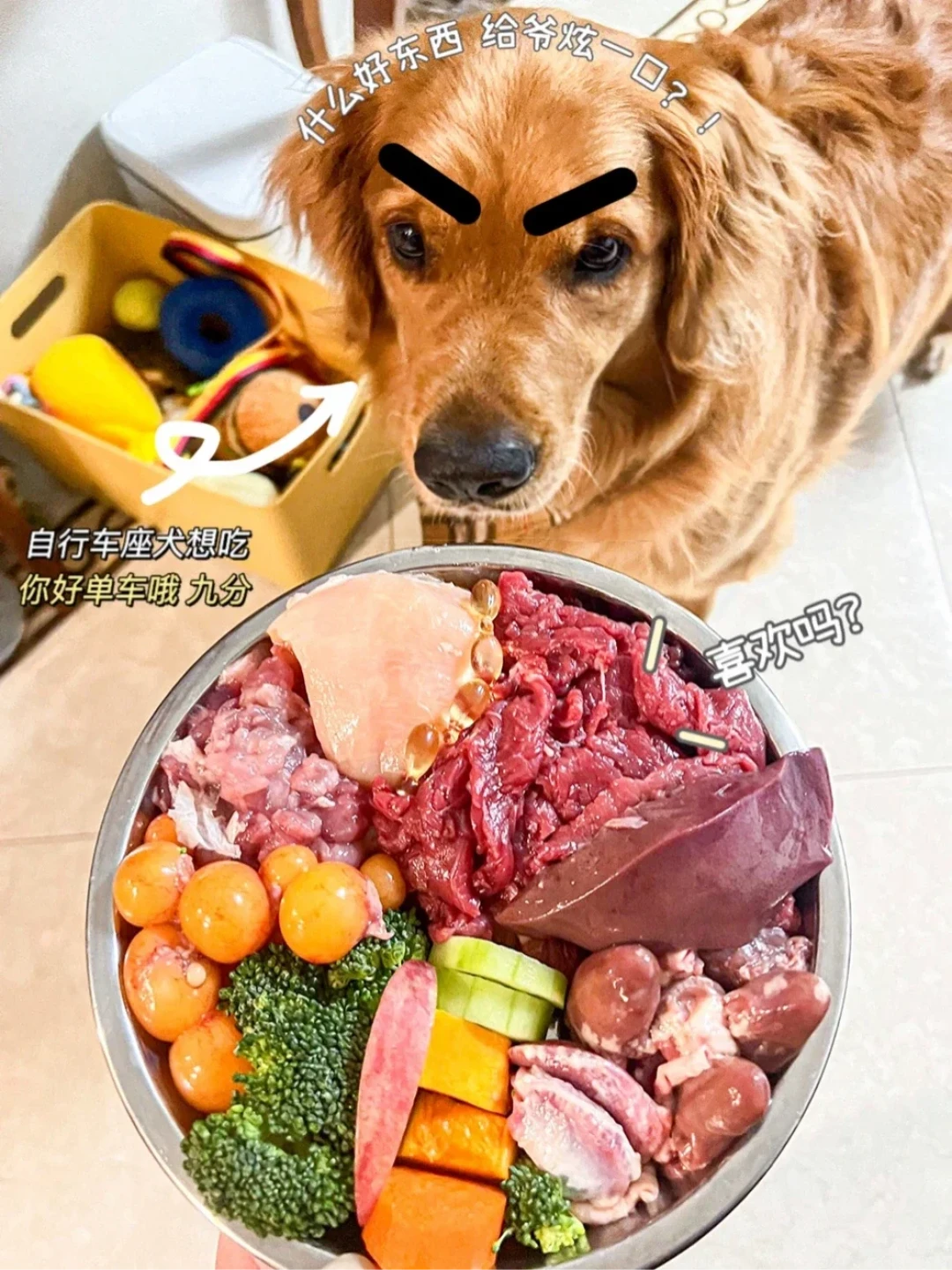 熟自制狗饭要补钙?血钙正常也别急着放心:剂量、选择、0元蛋壳粉做法一篇讲清