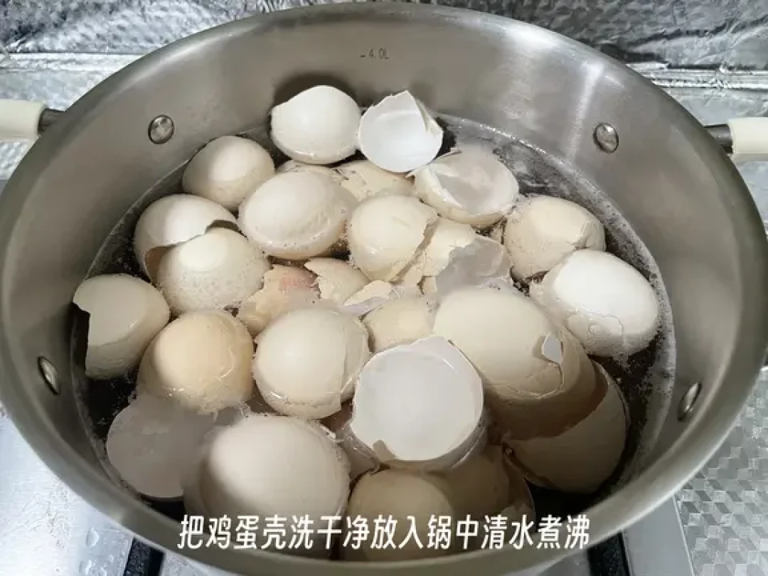 熟自制狗饭要补钙?血钙正常也别急着放心:剂量、选择、0元蛋壳粉做法一篇讲清